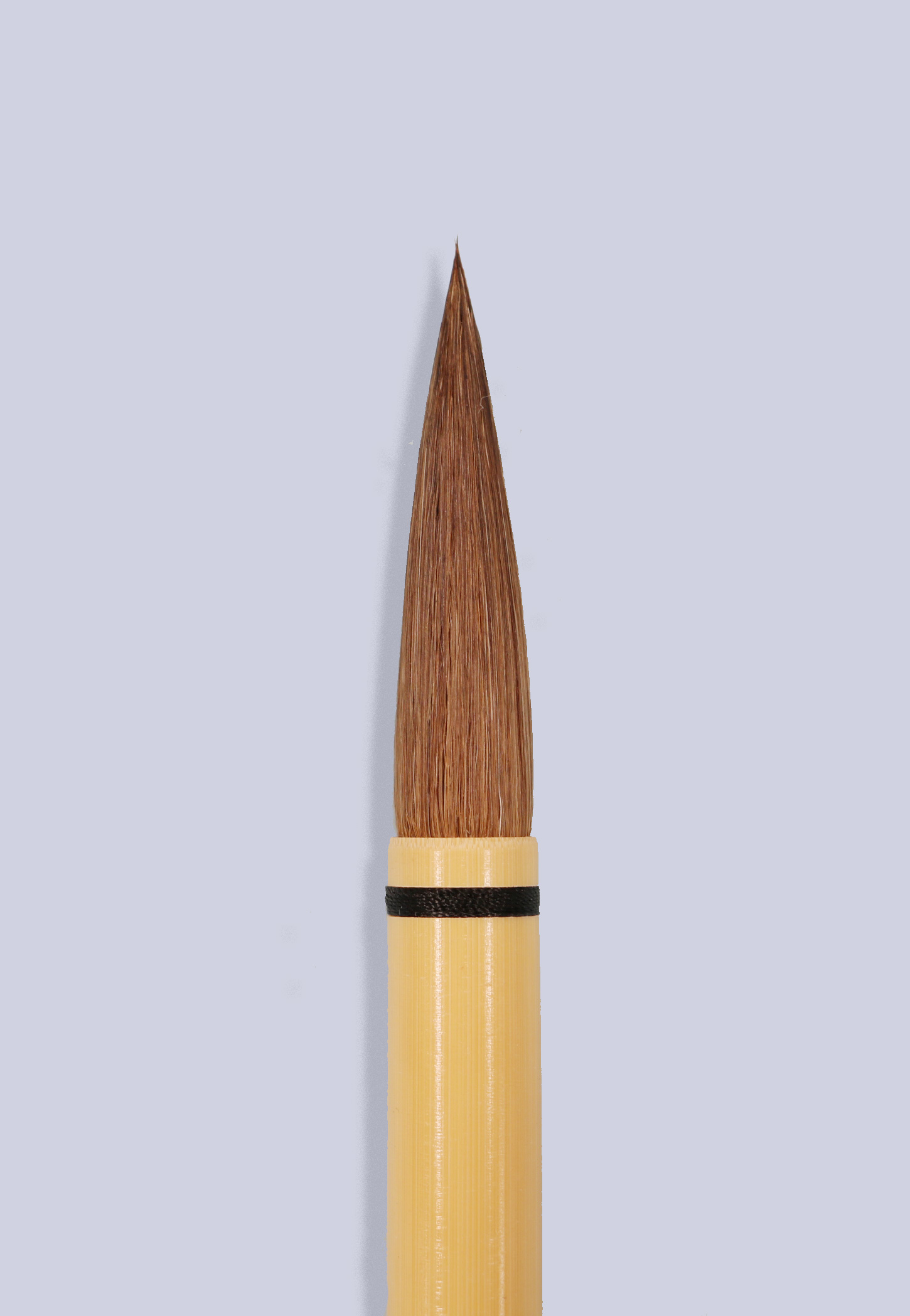 大筆 桔梗　５本セット